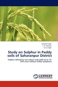bokomslag Study on Sulphur in Paddy soils of Saharanpur District