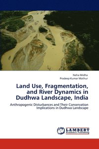bokomslag Land Use, Fragmentation, and River Dynamics in Dudhwa Landscape, India