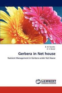 bokomslag Gerbera in Net house