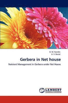Gerbera in Net house 1