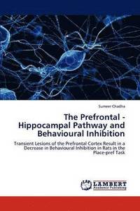 bokomslag The Prefrontal - Hippocampal Pathway and Behavioural Inhibition