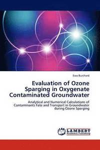 bokomslag Evaluation of Ozone Sparging in Oxygenate Contaminated Groundwater