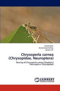 bokomslag Chrysoperla carnea (Chrysopidae, Neuroptera)