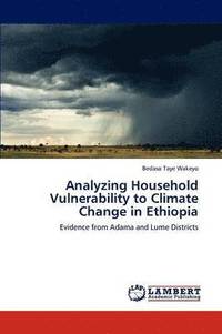 bokomslag Analyzing Household Vulnerability to Climate Change in Ethiopia