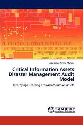 Critical Information Assets Disaster Management Audit Model 1