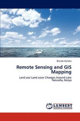 Remote Sensing and GIS Mapping 1