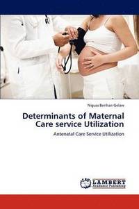 bokomslag Determinants of Maternal Care Service Utilization