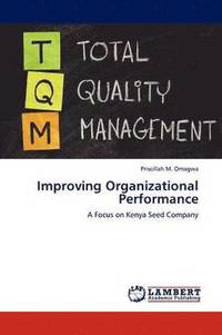 bokomslag Improving Organizational Performance