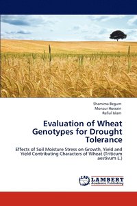 bokomslag Evaluation of Wheat Genotypes for Drought Tolerance