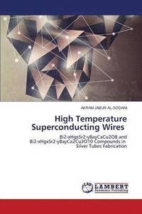 bokomslag High Temperature Superconducting Wires