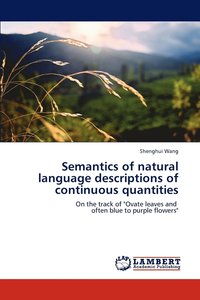 bokomslag Semantics of natural language descriptions of continuous quantities
