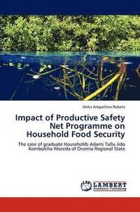 bokomslag Impact of Productive Safety Net Programme on Household Food Security