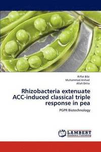bokomslag Rhizobacteria extenuate ACC-induced classical triple response in pea