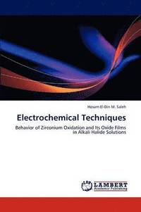 bokomslag Electrochemical Techniques