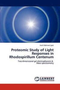 bokomslag Proteomic Study of Light Responses in Rhodospirillum Centenum