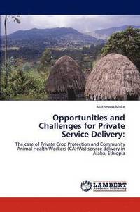 bokomslag Opportunities and Challenges for Private Service Delivery