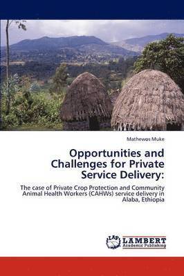 Opportunities and Challenges for Private Service Delivery 1