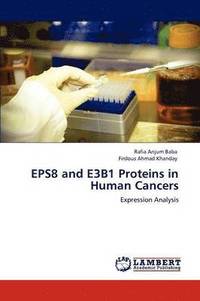 bokomslag Eps8 and E3b1 Proteins in Human Cancers