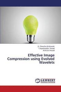 bokomslag Effective Image Compression Using Evolved Wavelets