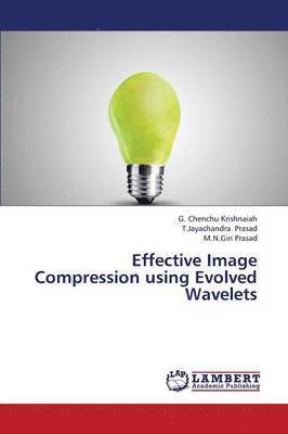 Effective Image Compression Using Evolved Wavelets 1