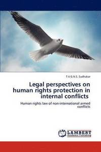 bokomslag Legal perspectives on human rights protection in internal conflicts