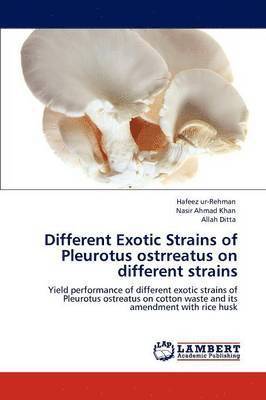 bokomslag Different Exotic Strains of Pleurotus Ostrreatus on Different Strains
