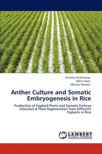 bokomslag Anther Culture and Somatic Embryogenesis in Rice
