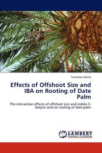 bokomslag Effects of Offshoot Size and Iba on Rooting of Date Palm