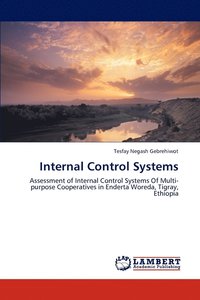 bokomslag Internal Control Systems