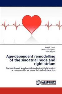 bokomslag Age-Dependent Remodelling of the Sinoatrial Node and Right Atrium