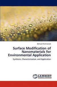 bokomslag Surface Modification of Nanomaterials for Environmental Application