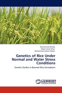 bokomslag Genetics of Rice Under Normal and Water Stress Conditions