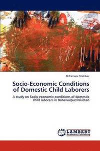 bokomslag Socio-Economic Conditions of Domestic Child Laborers