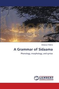 bokomslag A Grammar of Sidaama