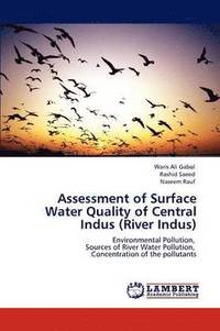 bokomslag Assessment of Surface Water Quality of Central Indus (River Indus)