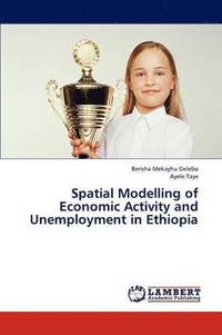 bokomslag Spatial Modelling of Economic Activity and Unemployment in Ethiopia