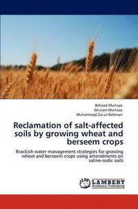 bokomslag Reclamation of Salt-Affected Soils by Growing Wheat and Berseem Crops