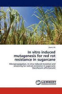 bokomslag In Vitro Induced Mutagenesis for Red Rot Resistance in Sugarcane