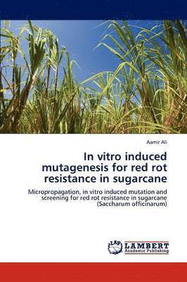 In Vitro Induced Mutagenesis for Red Rot Resistance in Sugarcane 1