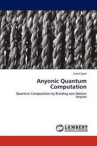 bokomslag Anyonic Quantum Computation