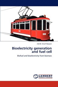 bokomslag Bioelectricity generation and fuel cell