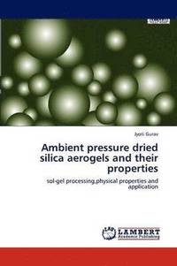 bokomslag Ambient pressure dried silica aerogels and their properties