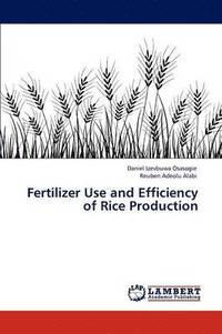 bokomslag Fertilizer Use and Efficiency of Rice Production