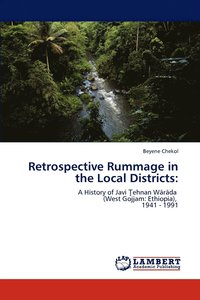 bokomslag Retrospective Rummage in the Local Districts