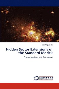 bokomslag Hidden Sector Extensions of the Standard Model