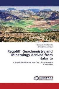 bokomslag Regolith Geochemistry and Mineralogy Derived from Itabirite