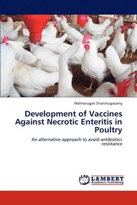 bokomslag Development of Vaccines Against Necrotic Enteritis in Poultry