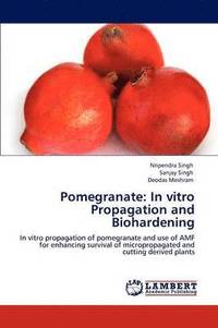 bokomslag Pomegranate