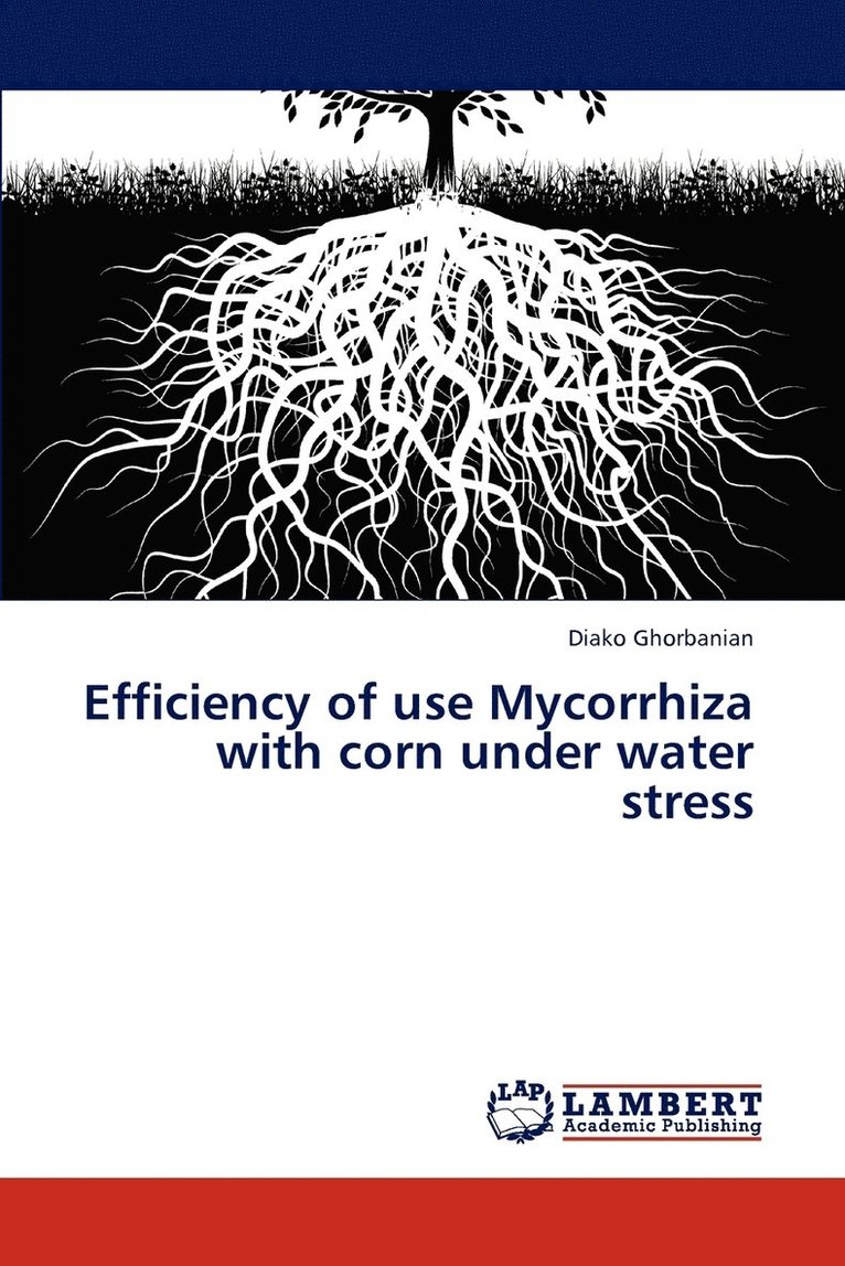 Efficiency of use Mycorrhiza with corn under water stress 1