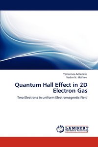 bokomslag Quantum Hall Effect in 2D Electron Gas